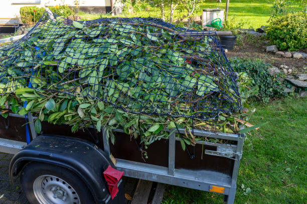 Best Shed Removal  in Fowler, MI